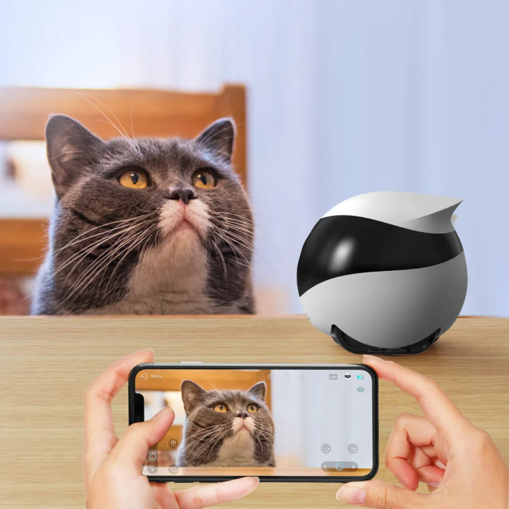 Robot cu cameră pentru animale de companie