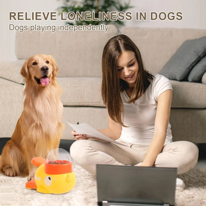 Hrănitor automat interactiv pentru animale de companie