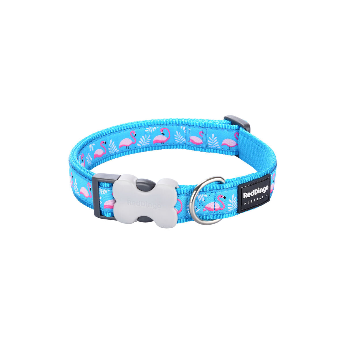 Dog collar Red Dingo STYLE FLAMINGO Turquoise-3